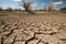 drought-stricken landscape, with dry and cracked earth
