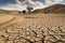 drought-stricken landscape, with dry and cracked earth