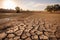 drought-stricken landscape with parched and cracked earth visible