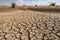drought-stricken landscape with parched earth and cracked ground