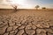 drought-stricken landscape with parched earth and cracked ground