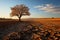Drought stricken soil bears lone tree, portraying climate changes water shortage impact