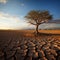 Drought stricken soil bears lone tree, portraying climate changes water shortage impact
