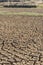 Drought Strikes Lake Ellesmere , New Zealand.