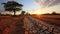 Drought symbol dead trees on cracked earth, urging climate change action to save our future.