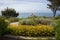 drought-tolerant native plant garden with view of the ocean