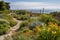 drought-tolerant native plant garden with view of the ocean