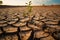 Droughts impact, Trees wither, ground cracks under relentless dryness