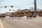 Drove of donkeys crossing the street against rural houses on a sunny day