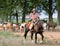 Drover on a Kansas Longhorn Cattle Drive