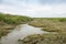 Drowned land of Saefthine reserve in Belgium