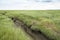 Drowned land of Saefthine reserve in Belgium