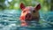 Drowning in Debt: Piggy Bank at Risk - Financial Banking Concept