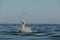 Drowning woman`s leg sticking out of sea