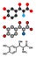 Droxidopa (L-DOPS) hypotension (low blood pressure) drug molecule