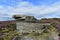 Druid\\\'s Stone, Peak District