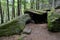 Druids cave. Dolmen in a forest in the Vosges.