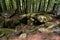 Druids cave. Dolmen in a forest in the Vosges.