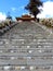 Druk Wangyal temple at Dochula Pass, Bhutan