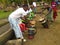 DRUM FESTIVAL IN VILLAGES LAGOON IN IVORY COAST