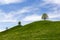 Drumlin hills with trees under blue sky