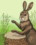 Drumming hare