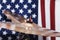 Drums, cymbals, against the backdrop of the American flag