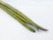 Drumstick vegetable in isolated background. The young, slender drumsticks vegetables are prepared as a culinary vegetable.