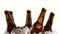 Drunk beer in dark bottles stands in the ice. White background. Close up