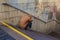 Drunk homeless man covered his face with his hands and sits on the stairs in the underpass