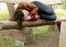 Drunk woman sleeping it off on a wooden bench