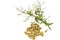 Dry of Andrographis paniculata plant and yellow drug pill on white background