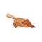 Dry anise star and wooden scoop shovel with ground cinnamon. Aromatic spice. Fragrant condiment. Flat vector design