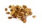 Dry apricot nut on white background.