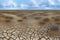Dry Arid Barren Wasteland With Bushes And Cracked Ground Generated Ai