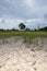 Dry arid farmland in Asia due to deforestation and top soil removal