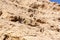 Dry, arid limestone mountains in the Valley of the Caves in Mleiha Archaeological Centre in Sharjah, United Arab Emirates