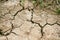 Dry arid soil that is dehydrated in summer does not grow crops.