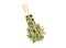 Dry Artemisia vulgaris the common mugwort plant parts on wood spoon isolated on white, studio shot.
