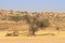 Dry Auob River Valley in the Kalahari