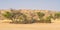 Dry Auob River Valley in the Kalahari