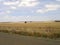 Dry, Australian Scrub and Farmland