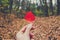 Dry autumn leaf in the hand of man at the beautiful forest background. Picturesque nature.