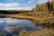 Dry autumn trees on the shore of a lake in Prince Albert National Park, Saskatchewan