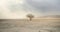 Dry, barren landscape with a lone tree in the middle and a sand storm coming. Generative AI illustration