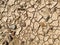 Dry barren lifeless soil during summer heat, soil erosion due to global warming, pattern of cracks in the ground