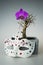 Dry bonsai tree with flower and mask