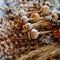 Dry bouquet of traditional herbs and flowers for the Transfiguration of Christ