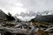 Dry branches and snowy mountains