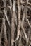 Dry branches texture